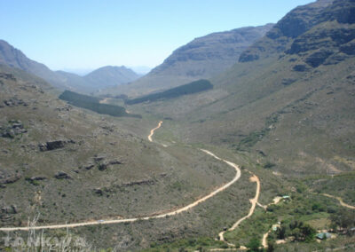 amidst breathtaking natural landscapes.